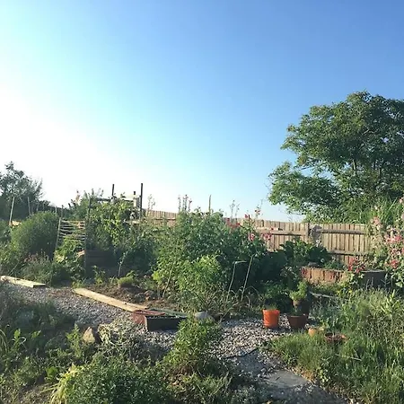 Wohlfuehlhaus Mit Grossem Garten *