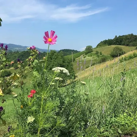 펜션 Wohlfuehlhaus Mit Grossem Garten
